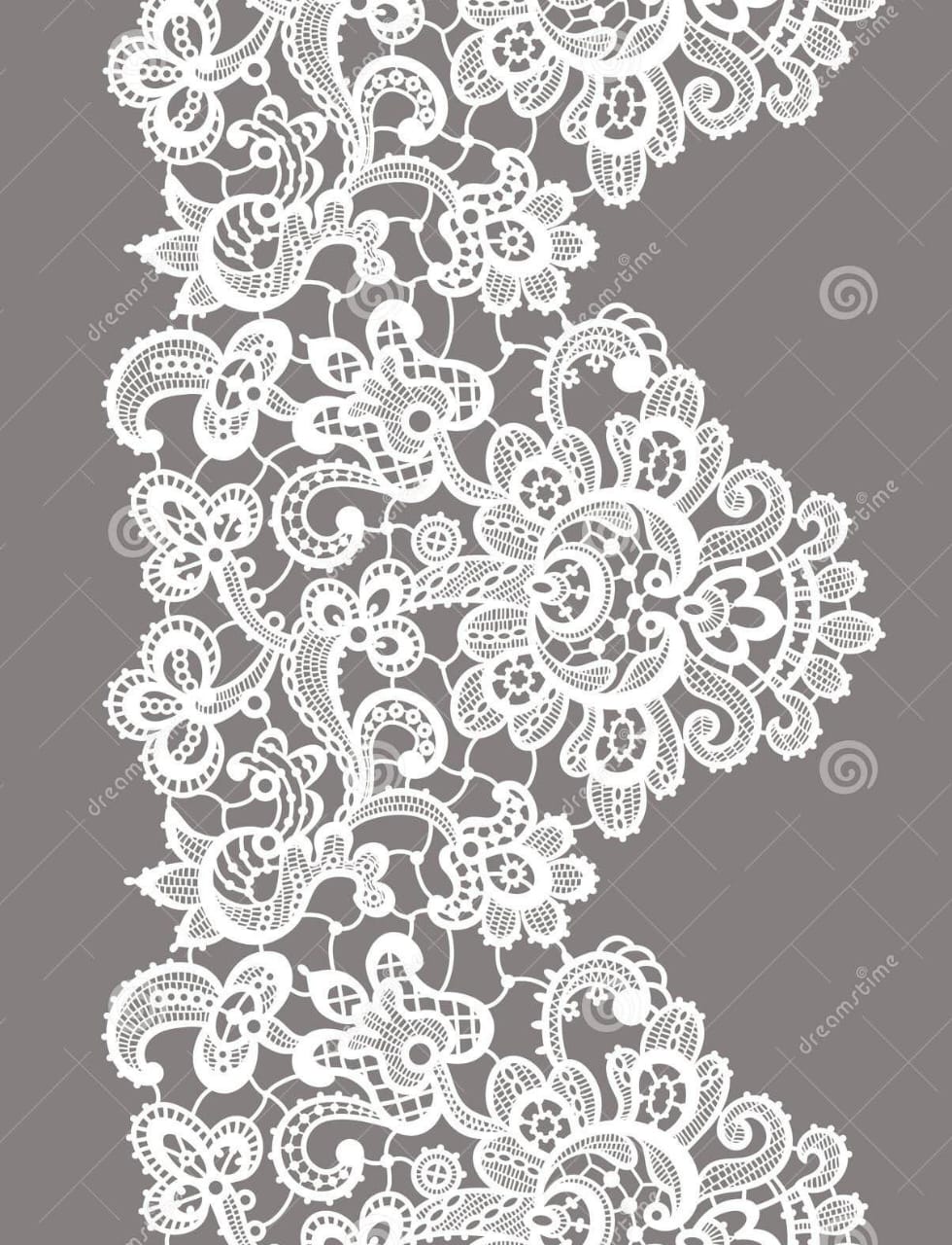 Embroidered Lace Trim – White