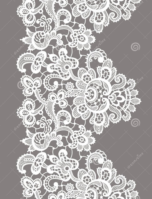 Embroidered Lace Trim – White